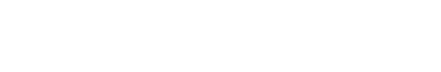 Dataking Logo