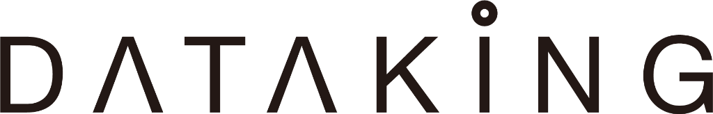 Data King 데이터킹 logo